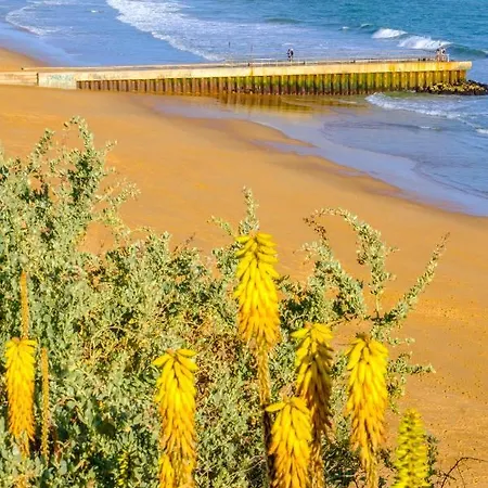 In Albufeira's Old Town Apartment Albufeira